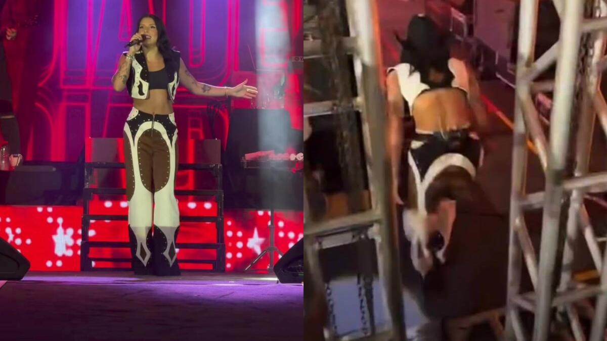 befunky_2026-3-1_9-39-46